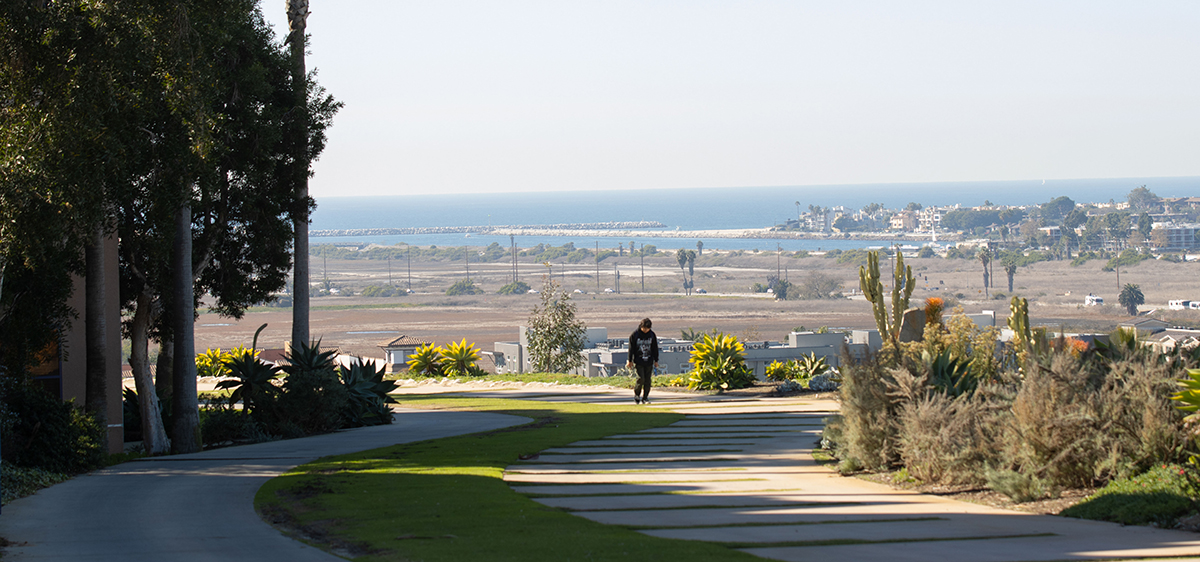 A student in the distance walking down a cliff side path with the ocean in the background.